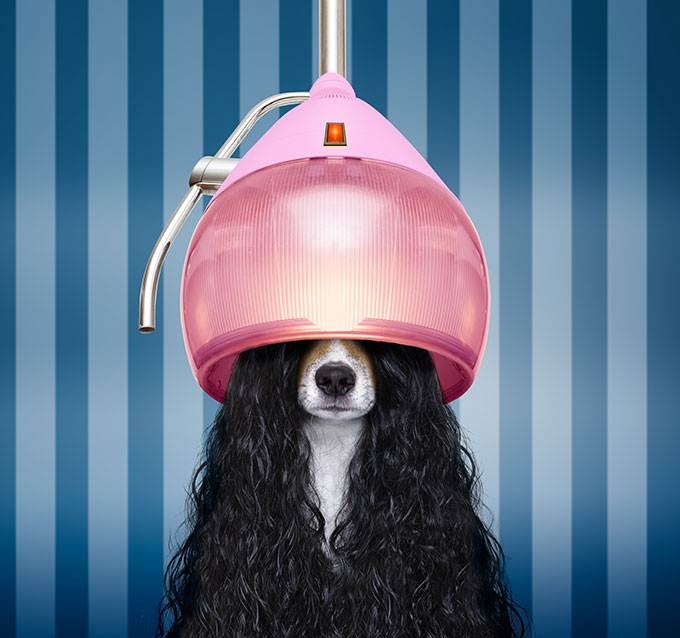 skulls-sto-kommwthrio